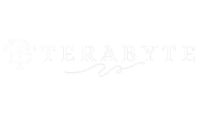 Terabyte Services Logo - Web & App Development Company